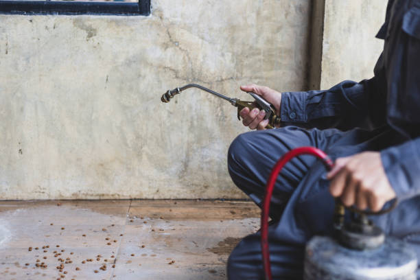 Best Affordable Pest Control Services  in Maytown, PA